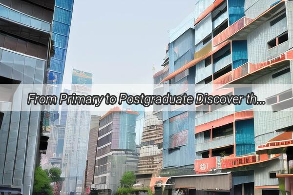 From Primary to Postgraduate Discover the Enormous Educational Ecosystem of Guangzhous Students